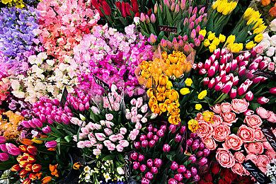 骁龙8 Gen4搭载AI新技术 实现手机1080p120fps《原神》